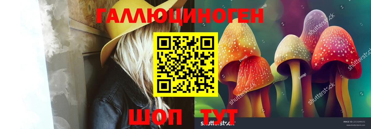Псилоцибиновые грибы мухоморы Тимашёвск